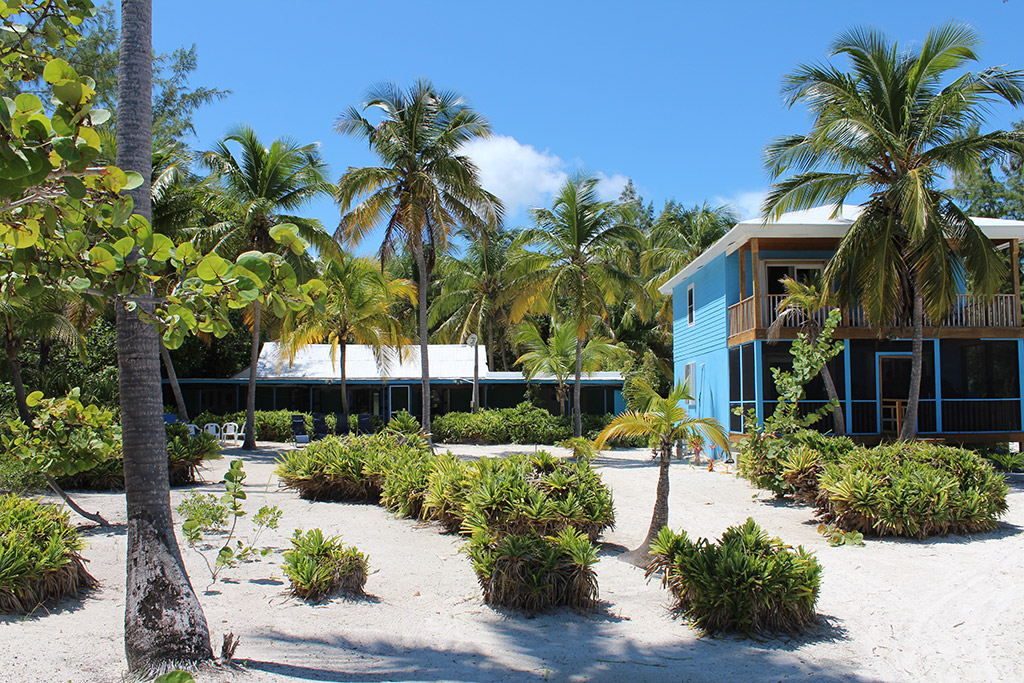 Andros Beach Club Accommodations